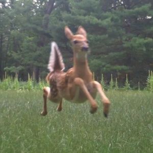 Meet your Posher, Simone